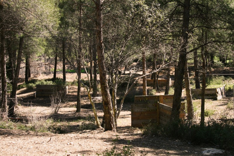 La Jungle